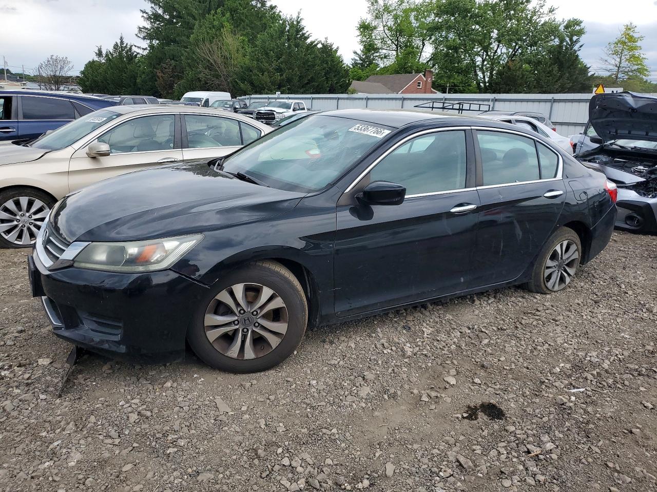 Salvage Honda Accord Image