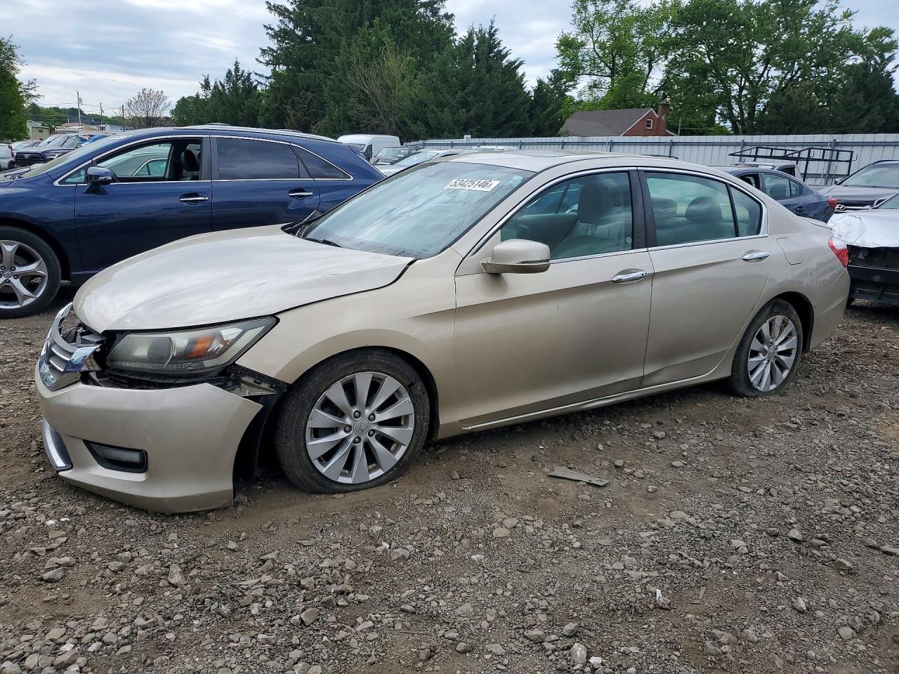 Salvage Honda Accord Image