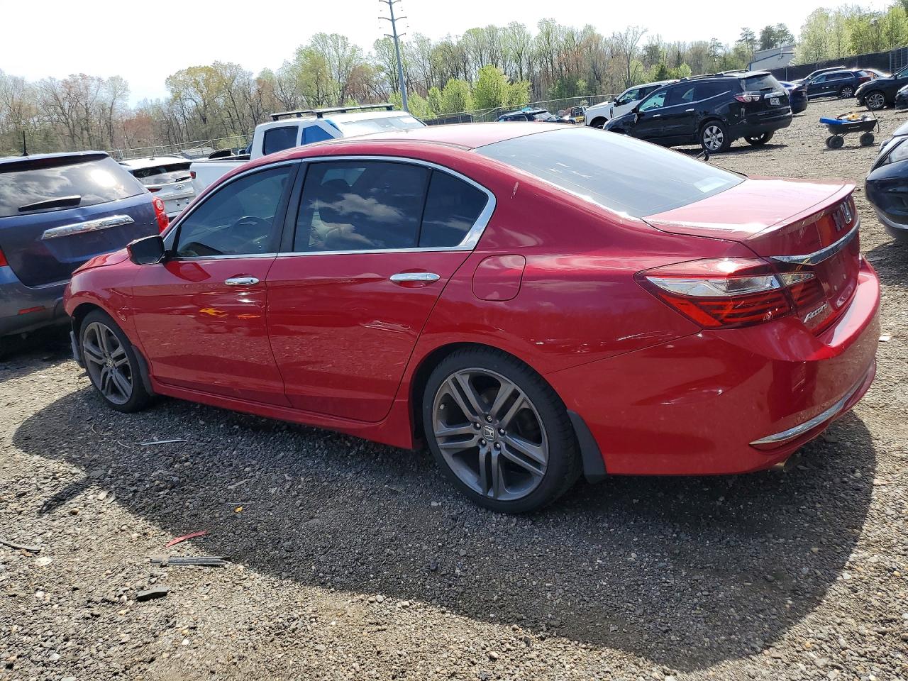Honda Accord Sport Special Edition