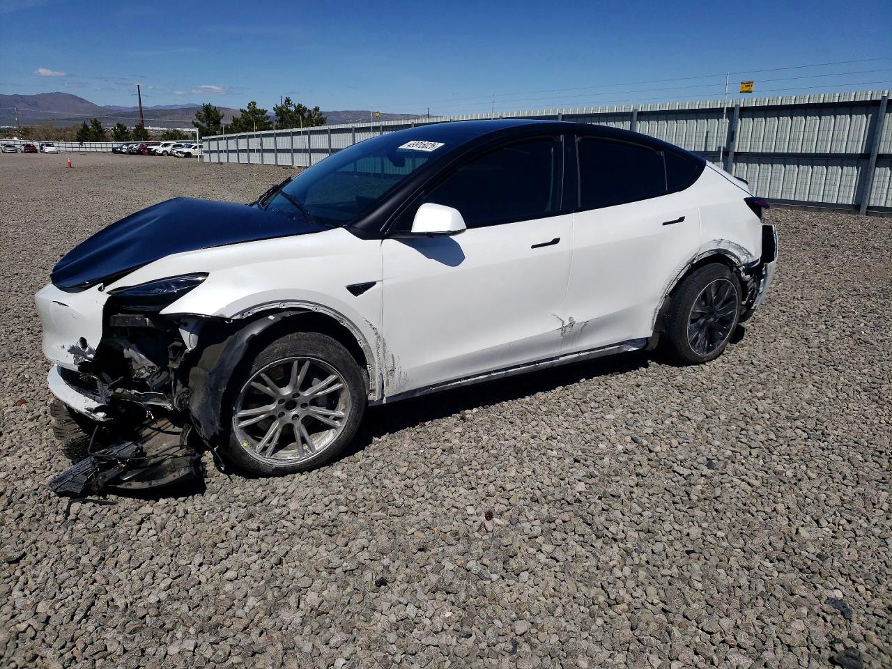 Salvage Tesla Model Y Image
