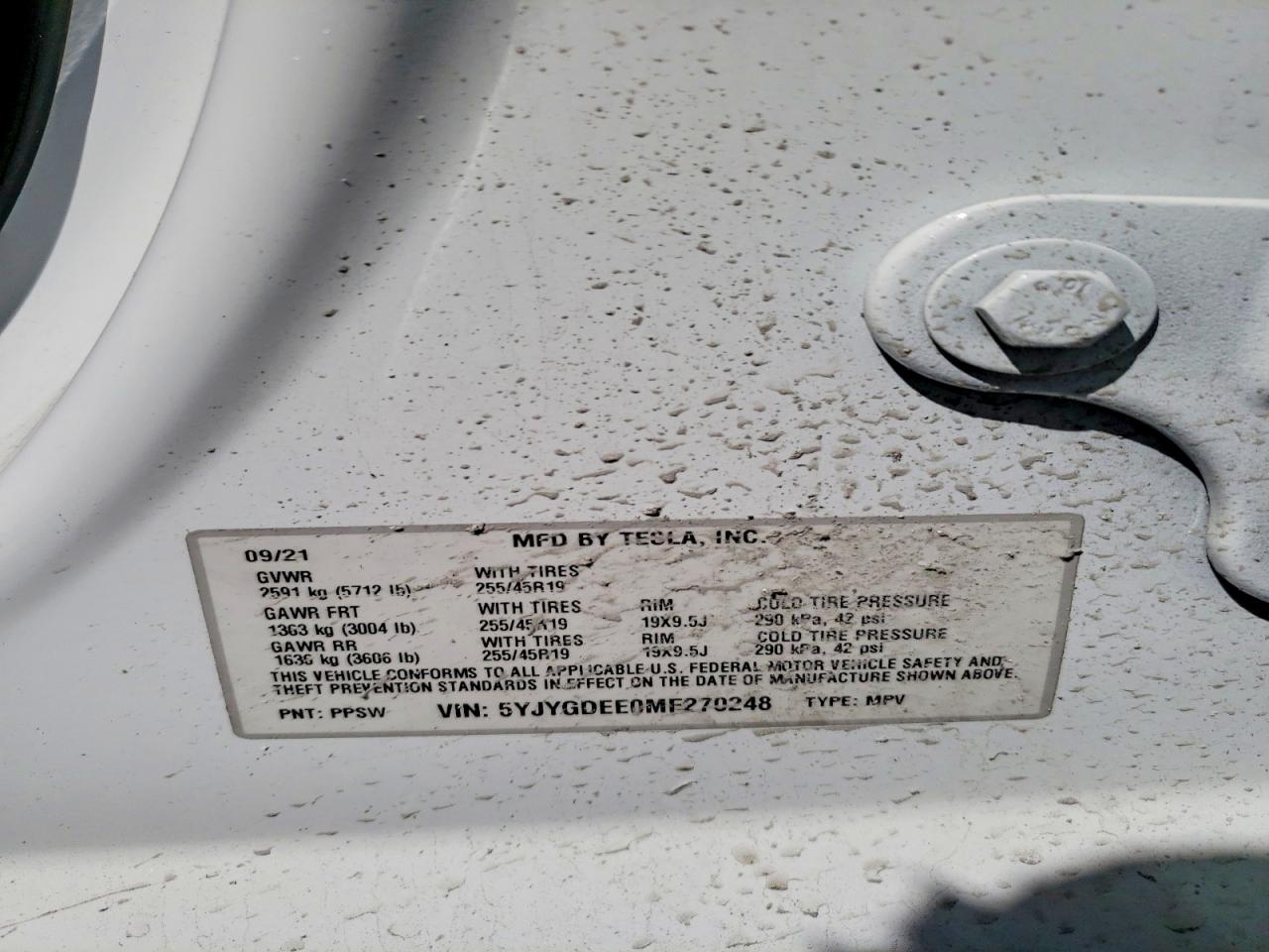 Tesla Model Y