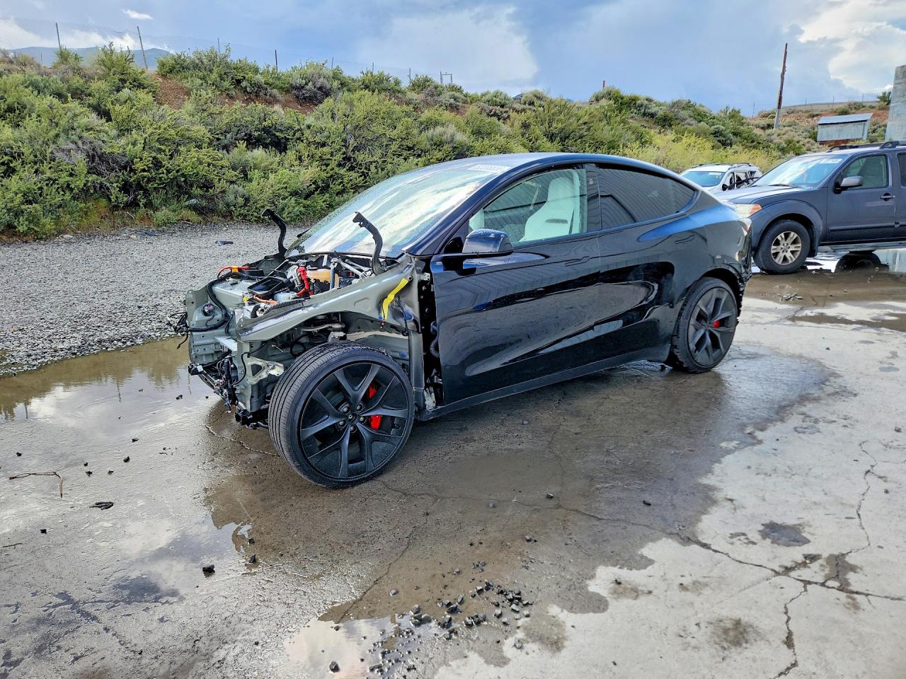 Salvage Tesla Model Y Image