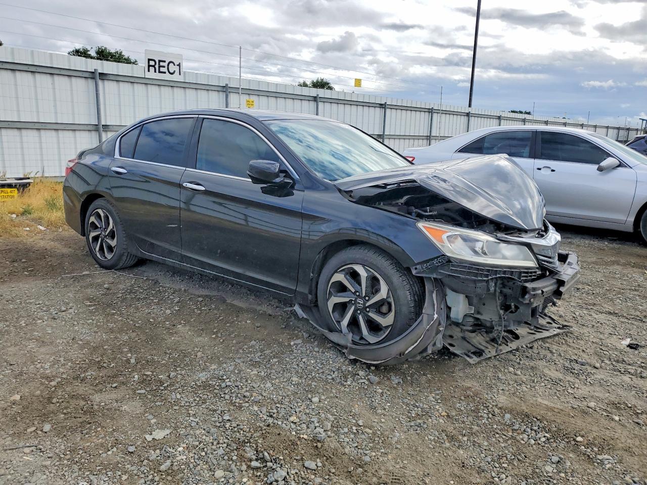 Honda Accord Exl