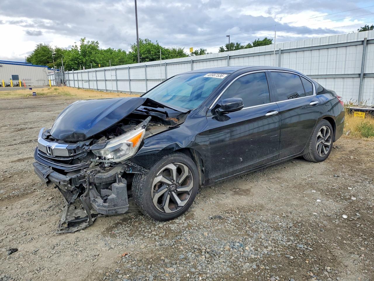Salvage Honda Accord Image