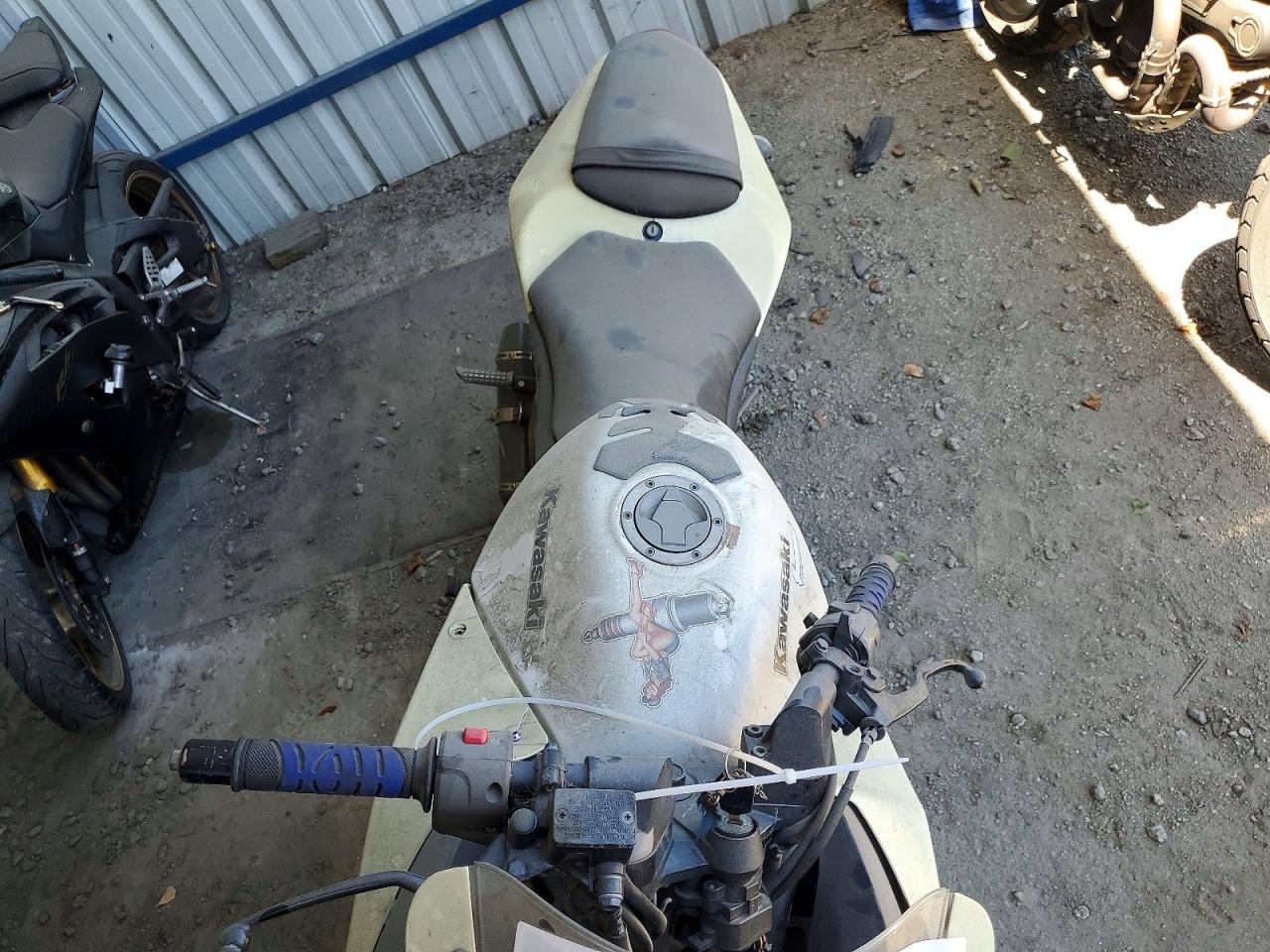 Kawasaki Ninja 250R J