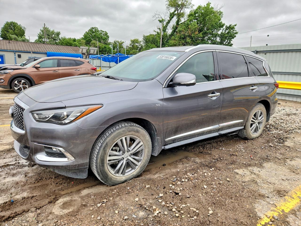Salvage INFINITI Qx Image