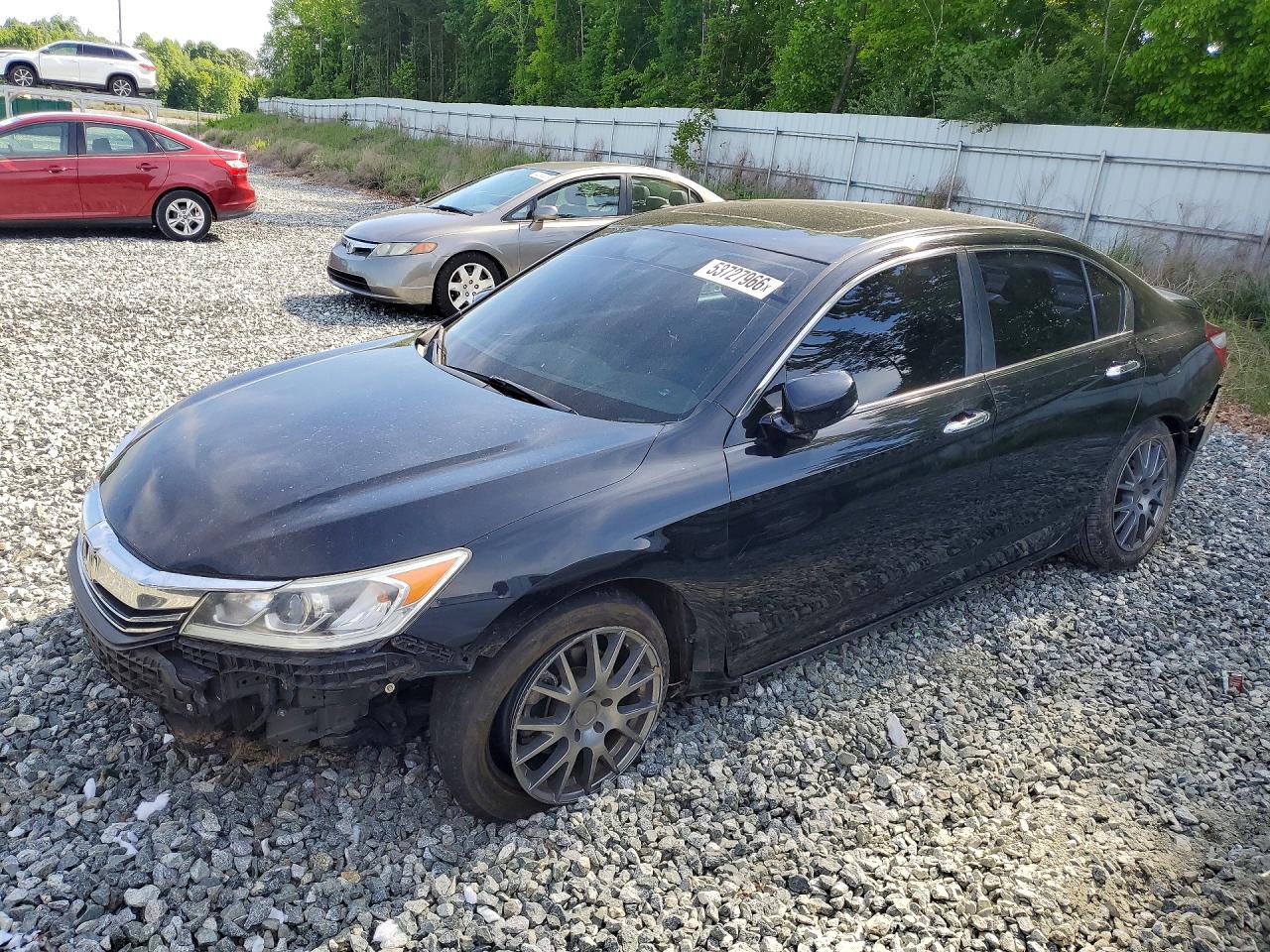 Salvage Honda Accord Image