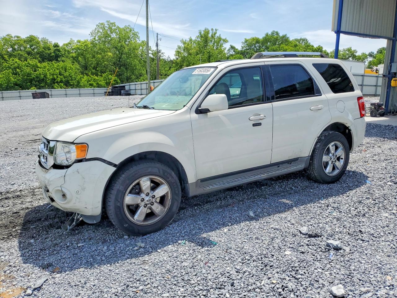 Salvage Ford Escape Image