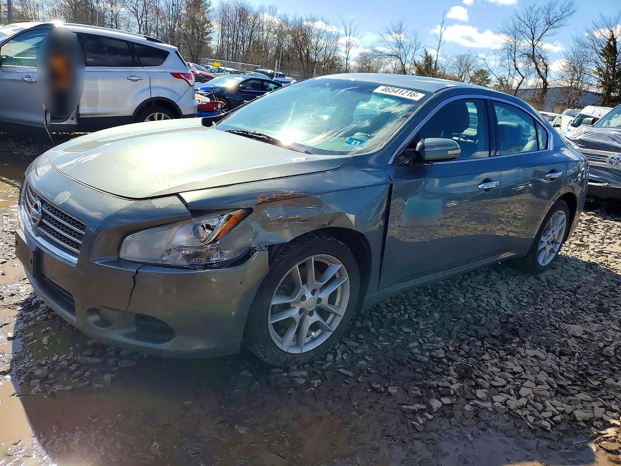 Salvage Nissan Maxima Image