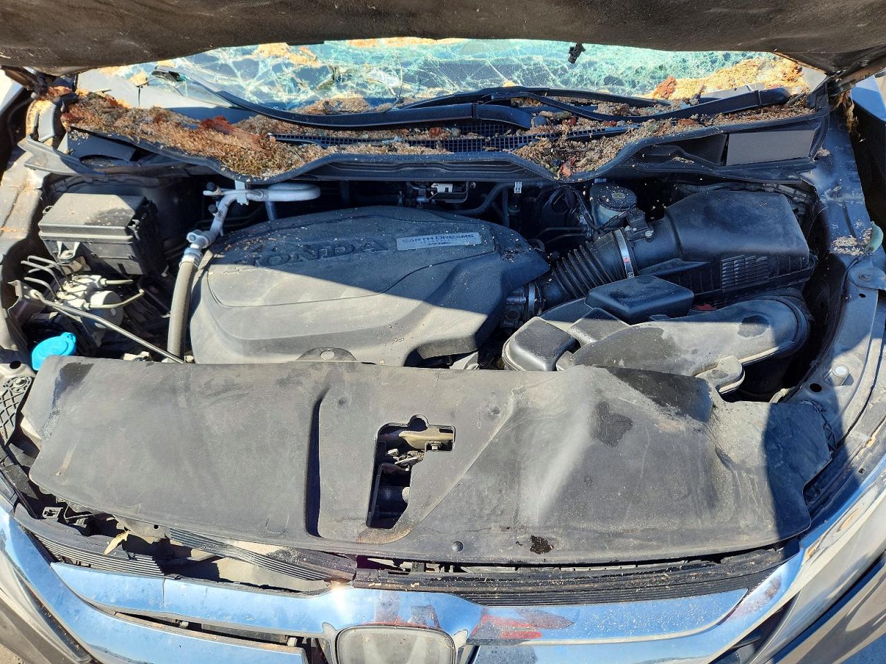 Honda Odyssey Exl