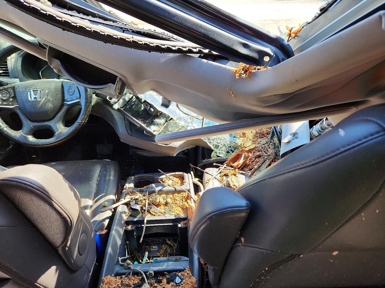 Honda Odyssey Exl