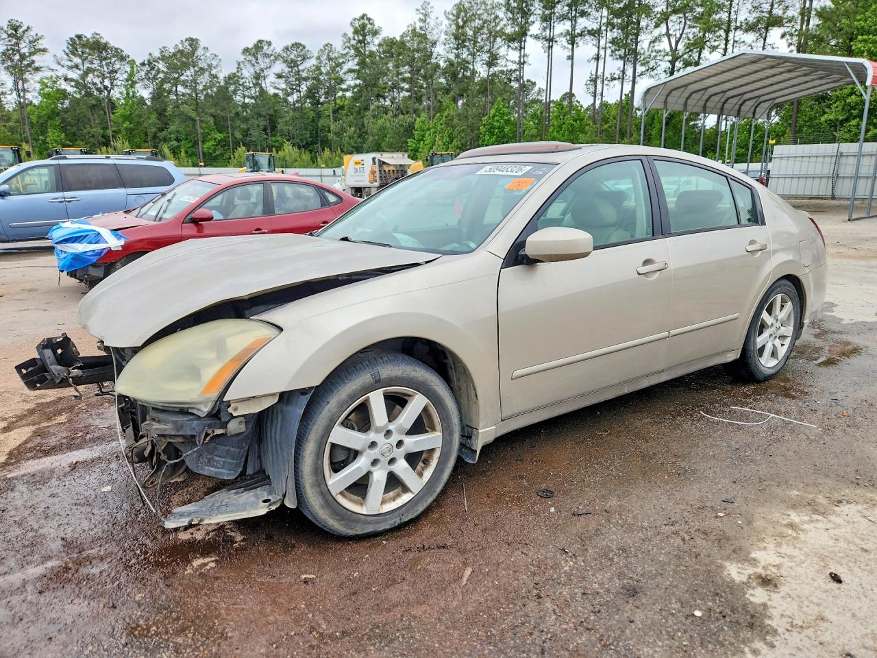 Salvage Nissan Maxima Image