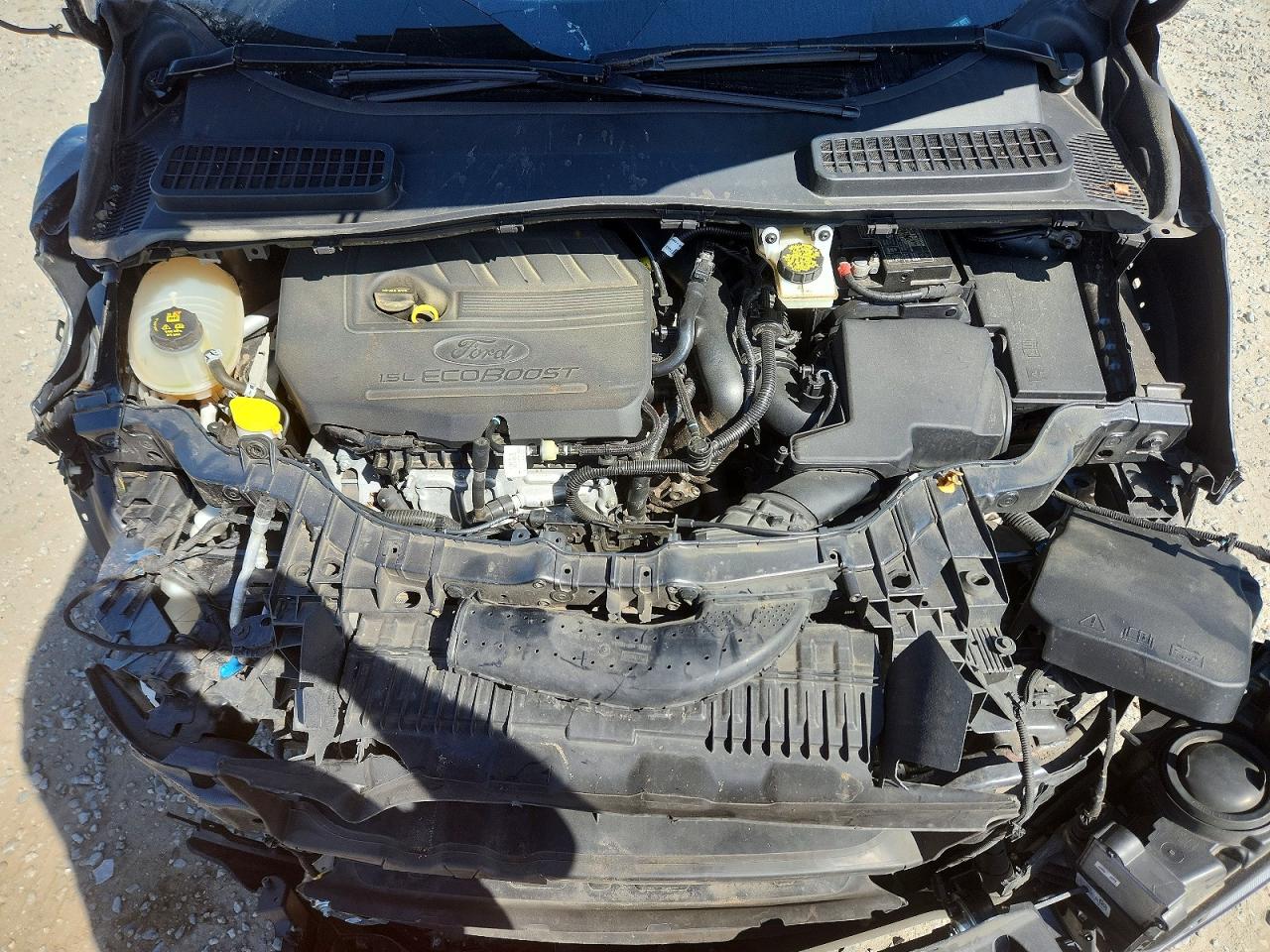 Ford Escape Sel