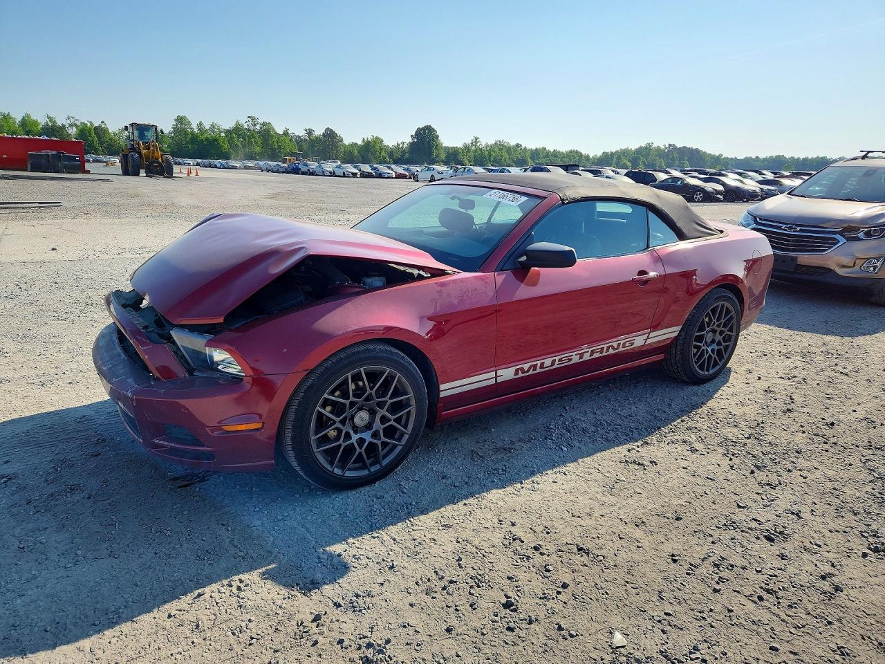 Salvage Ford Mustang Image
