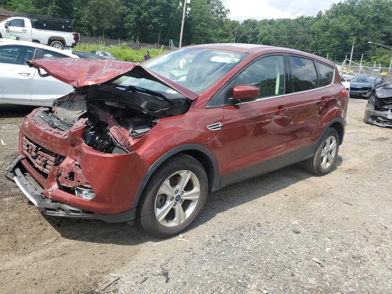 Salvage Ford Escape Image