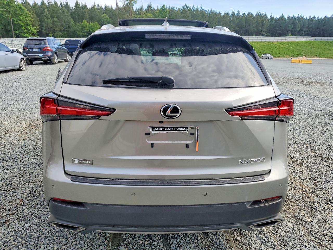 Lexus NX 300 F Sport