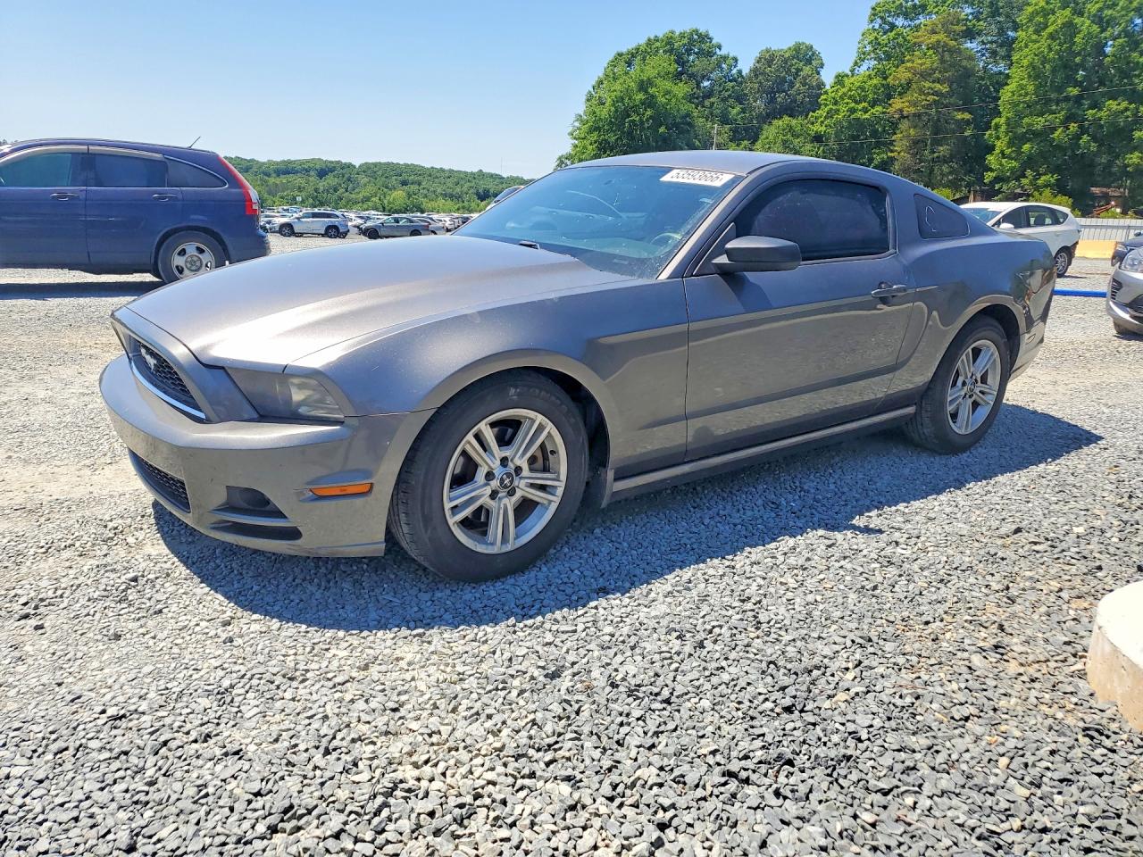 Salvage Ford Mustang Image