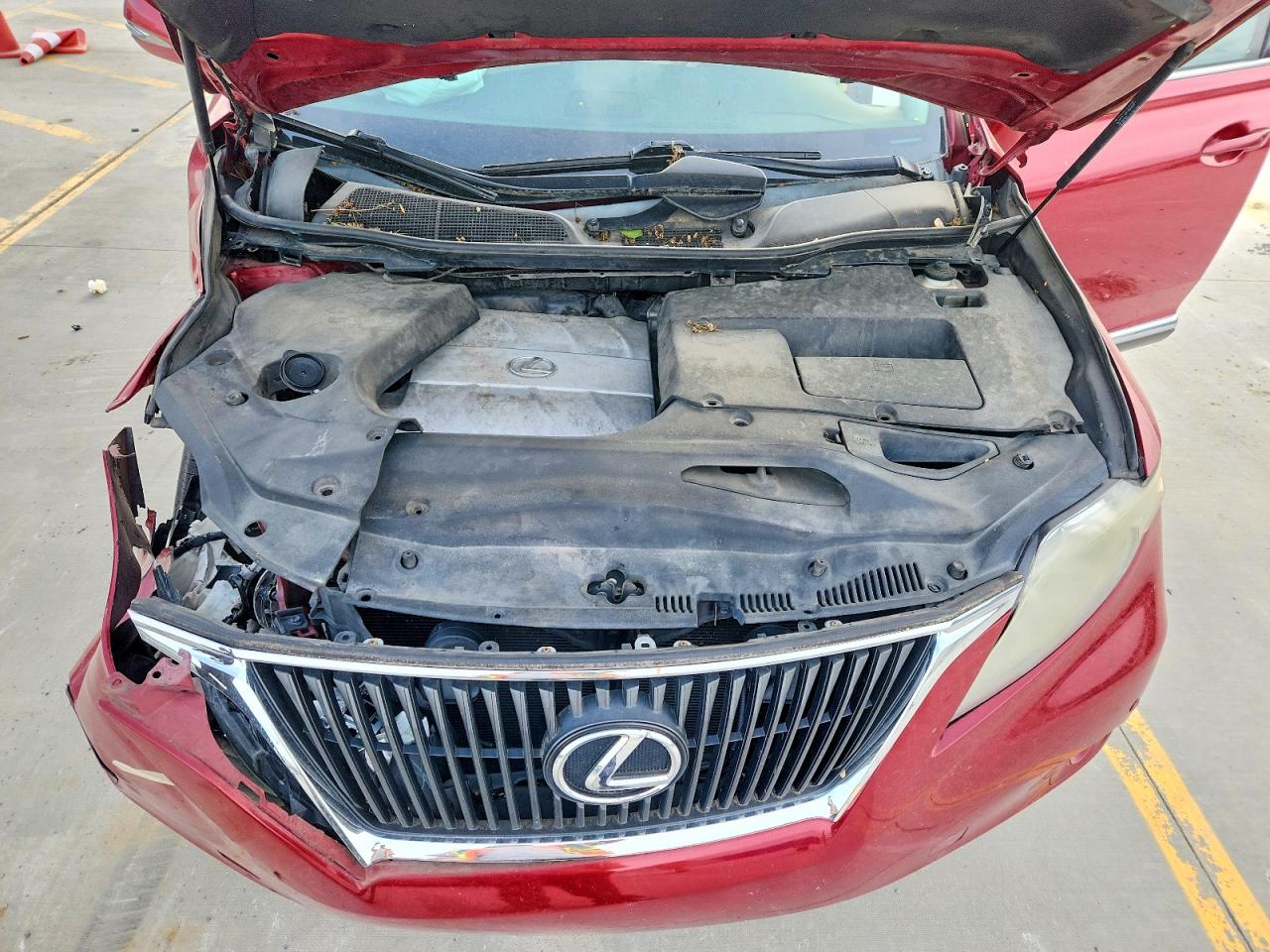 Lexus RX Base