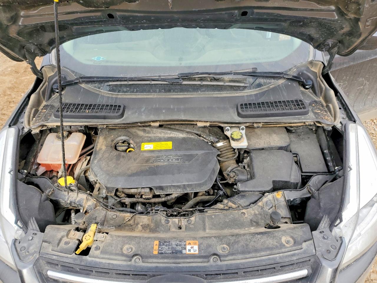 Ford Escape Se
