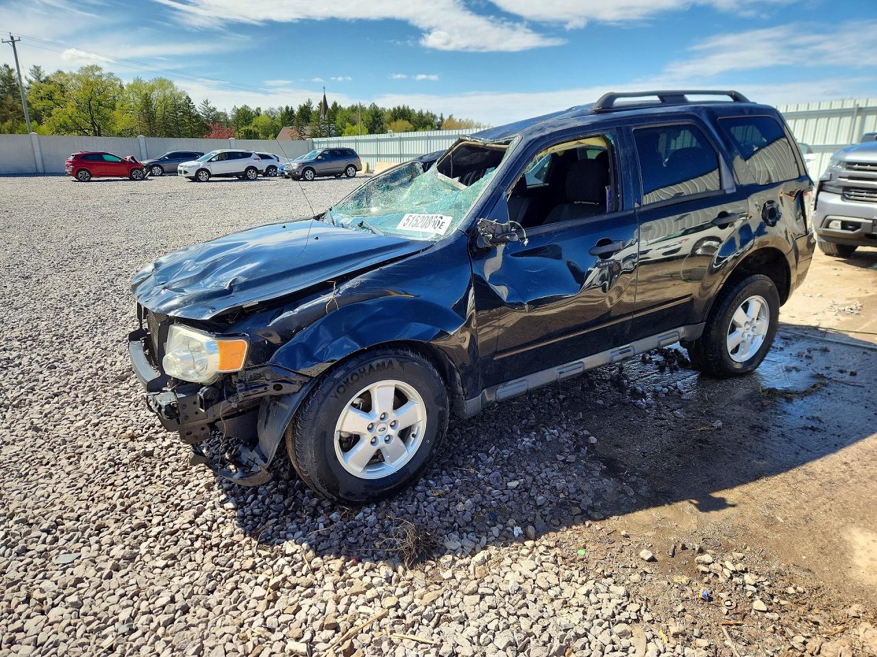 Salvage Ford Escape Image