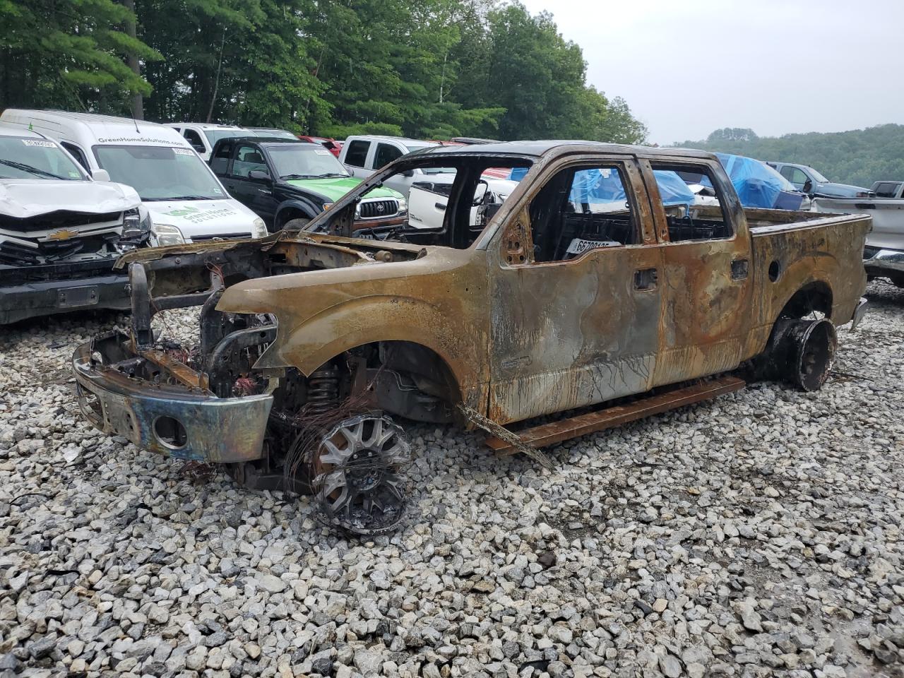 Salvage Ford F-150 Image