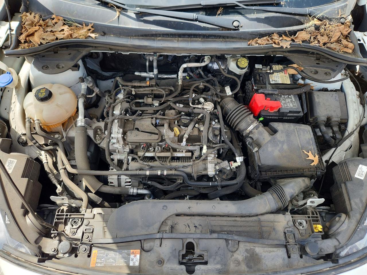 Ford Escape Se