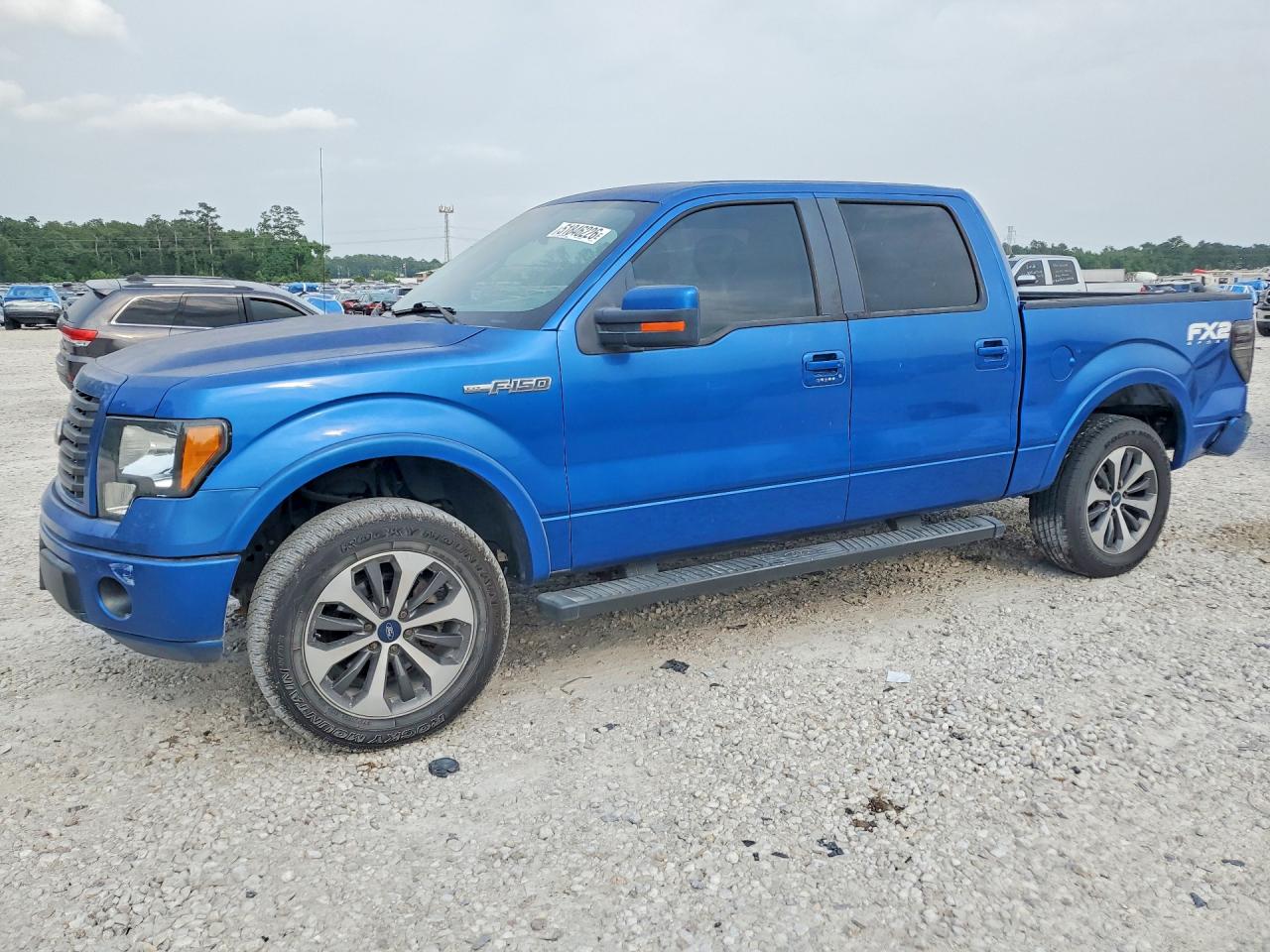 Salvage Ford F-150 Image