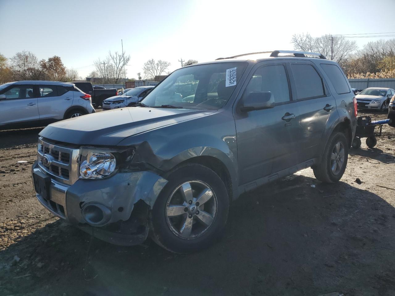 Salvage Ford Escape Image