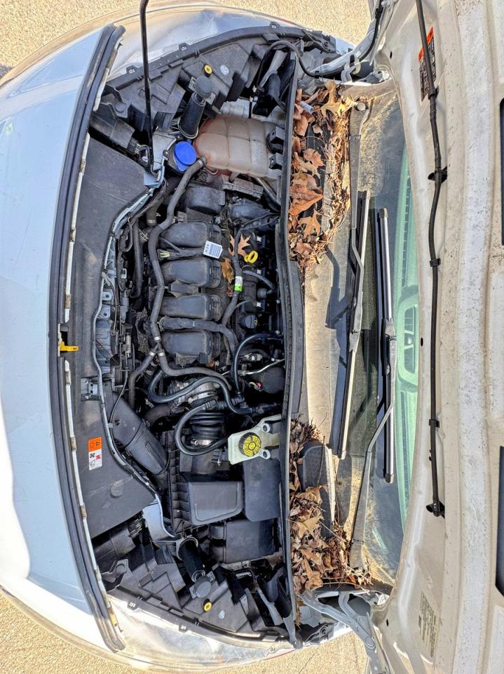 Ford Transit Xl