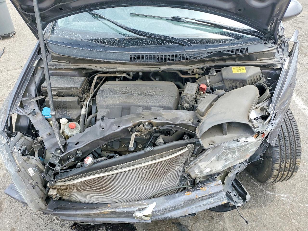 Honda Odyssey Exl