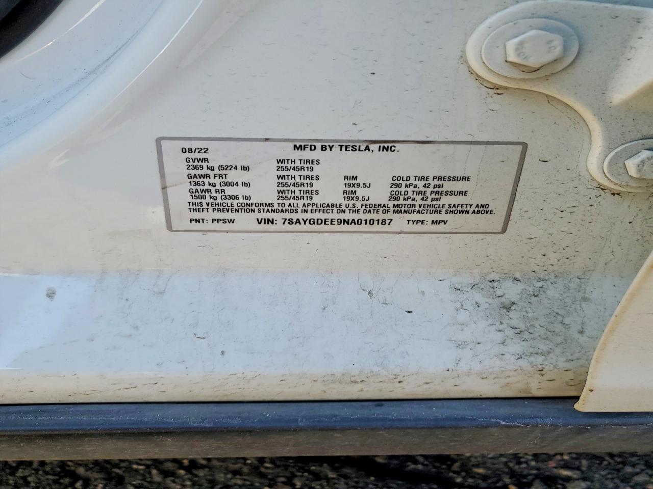 Tesla Model Y