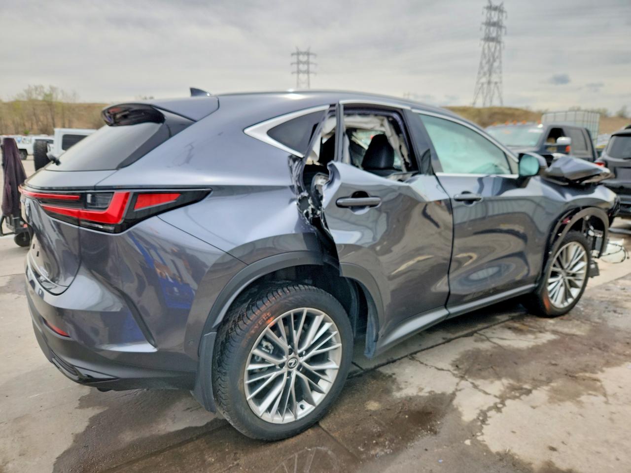 Lexus NX Luxury
