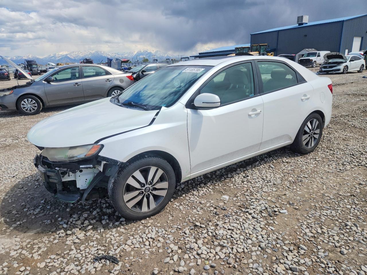 Salvage Kia Forte Image