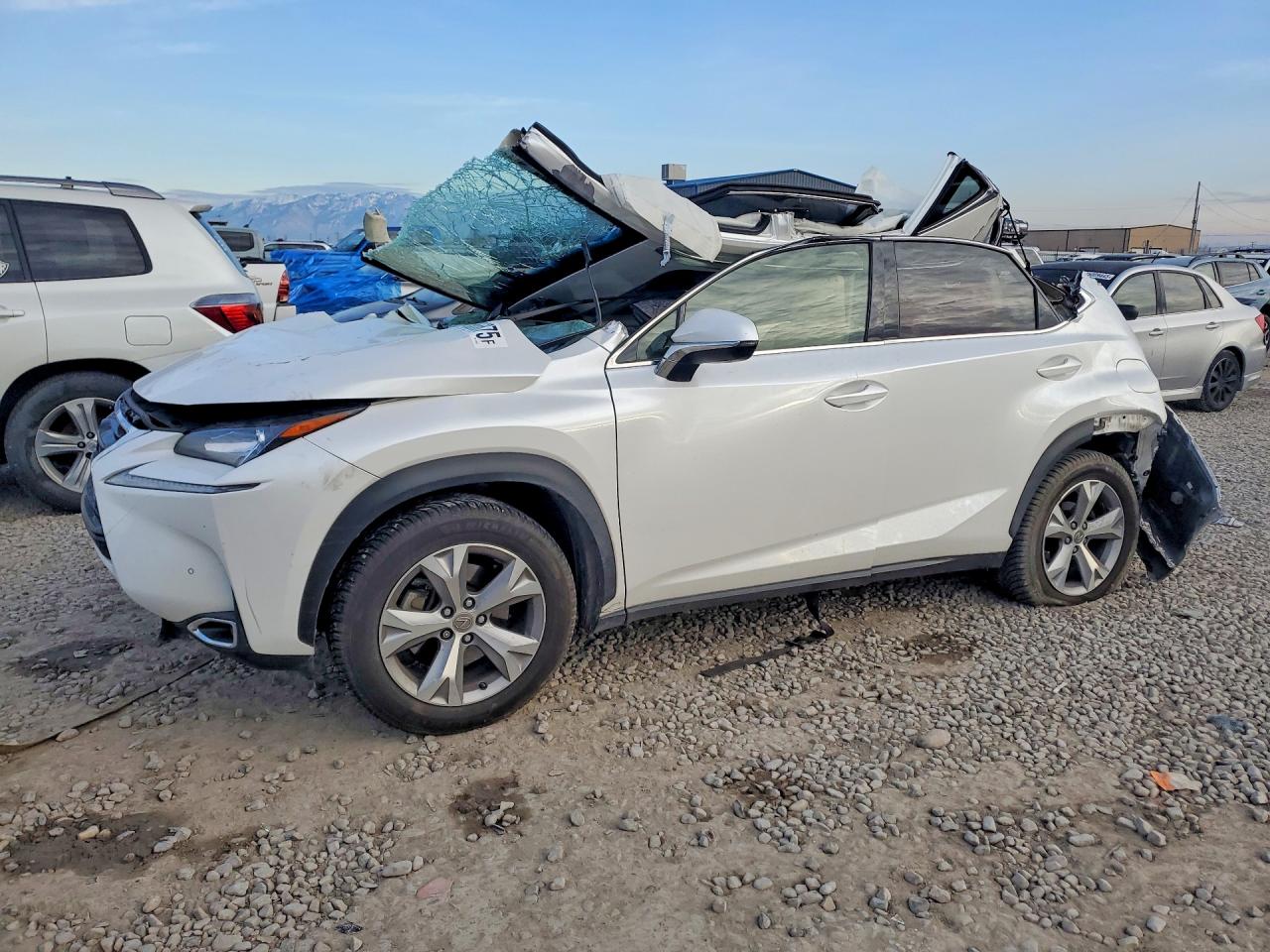 Salvage Lexus NX Image