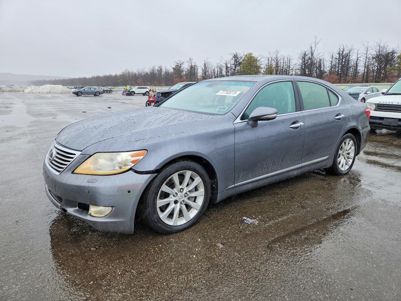 Salvage Lexus LS Image
