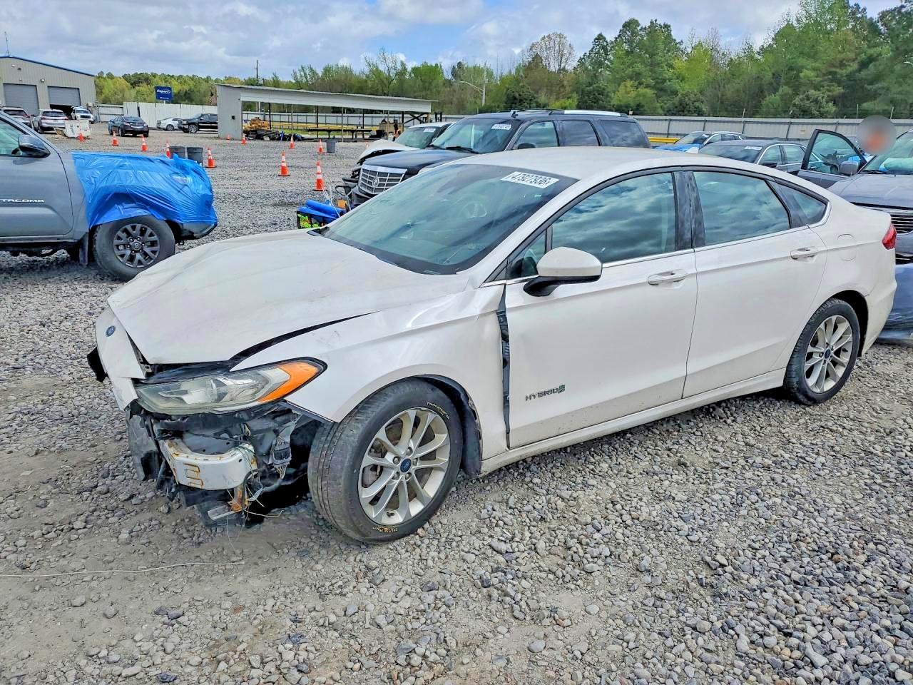 Salvage Ford Fusion Image