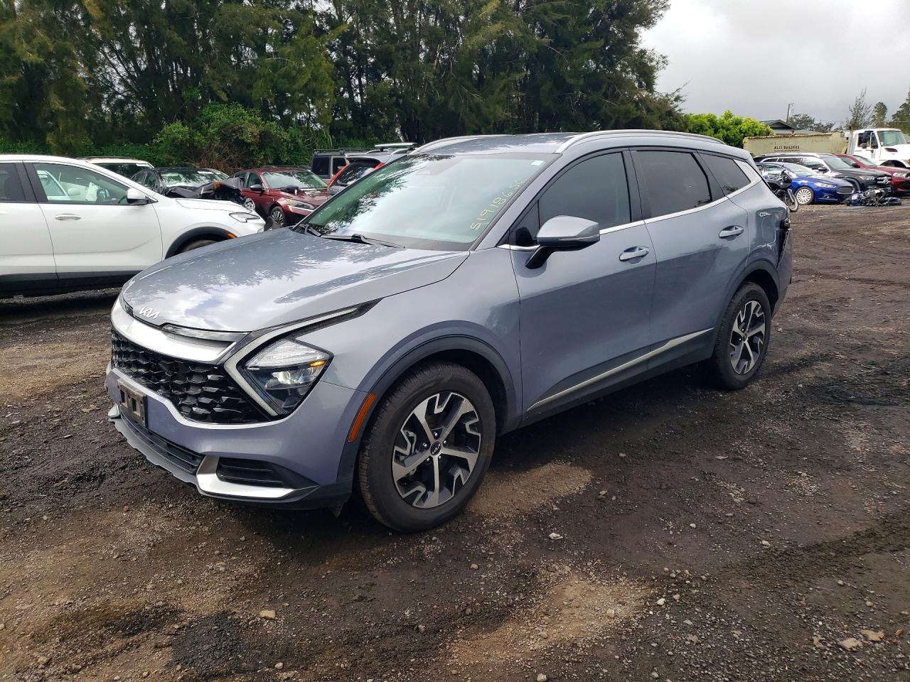 Salvage Kia Sportage Image
