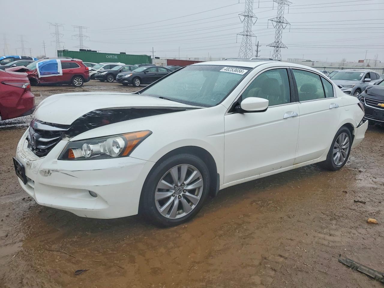 Salvage Honda Accord Image