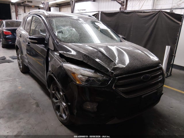Salvage Ford Escape Image
