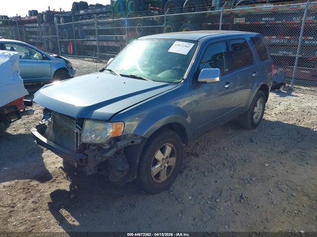 Ford Escape Xls