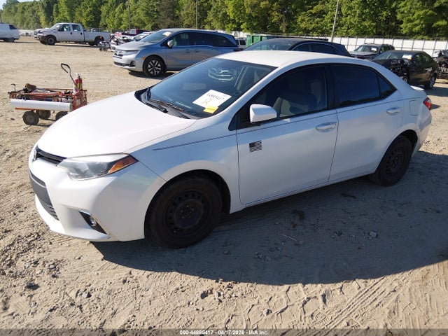 Toyota Corolla Le Eco
