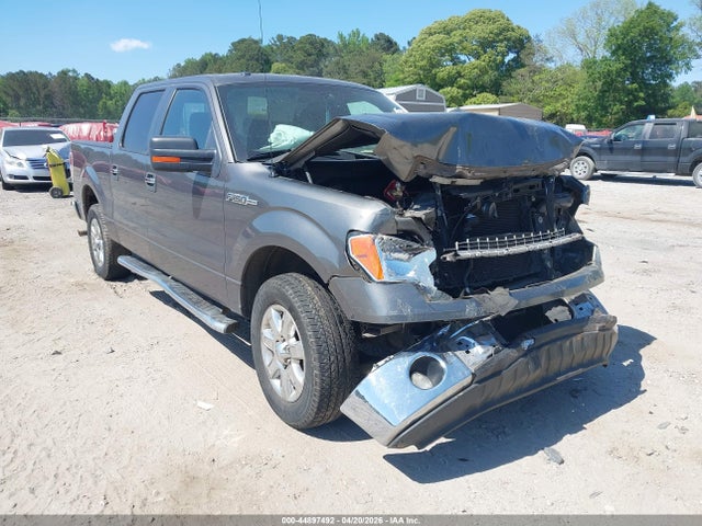 Salvage Ford F-150 Image