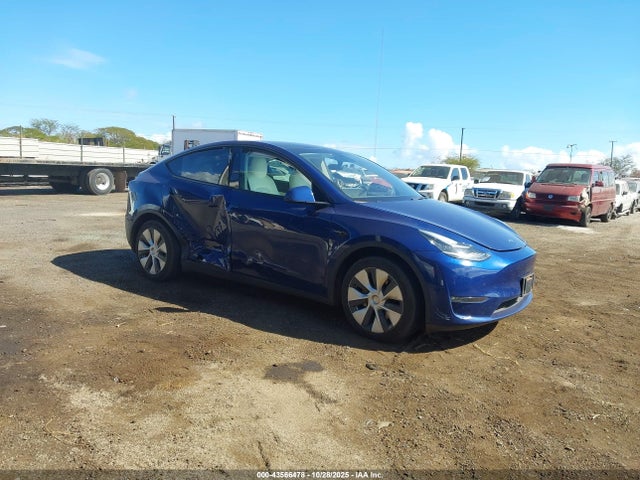 Salvage Tesla Model Y Image