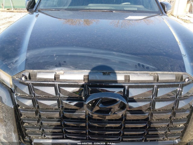 Hyundai PALISADE Calligraphy Night Edition