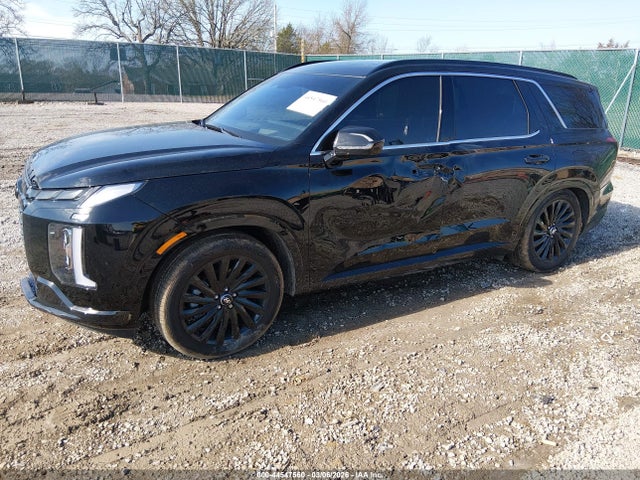 Hyundai PALISADE Calligraphy Night Edition