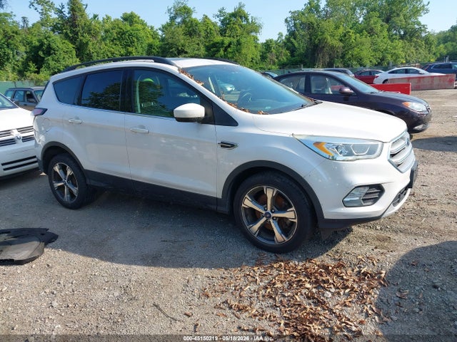 Salvage Ford Escape Image