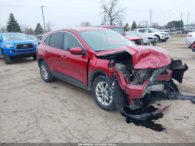 Salvage Ford Escape Image