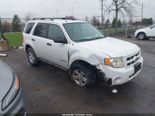 Salvage Ford Escape Image