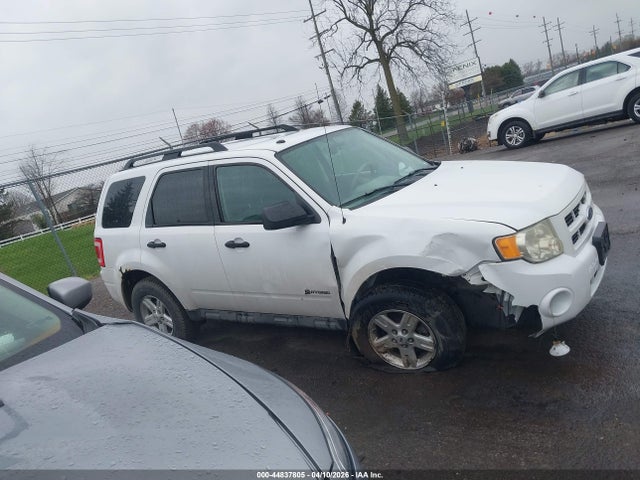 Ford Escape Limited