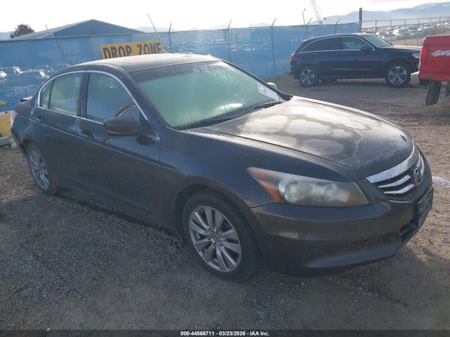 Salvage Honda Accord Image